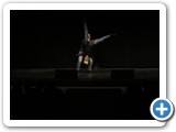 _46A1594 (Large)