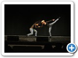 _46A1595A (Large)